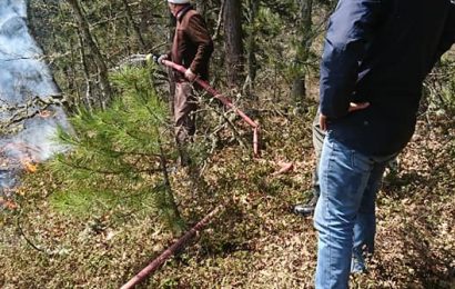 Orman Yangını Erken Müdehale ile Söndürüdü