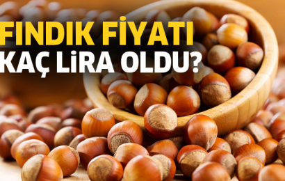 Güncel Fındık Fiyatları Fındık 40 Lira Olacakmı